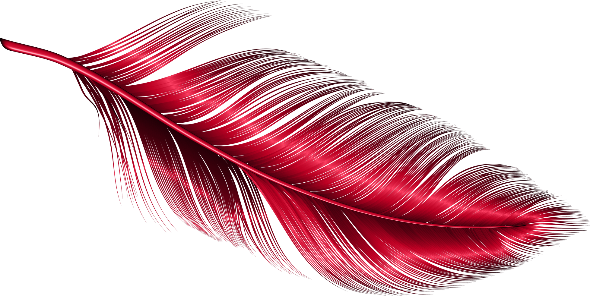 Color feathers soft bird plumage